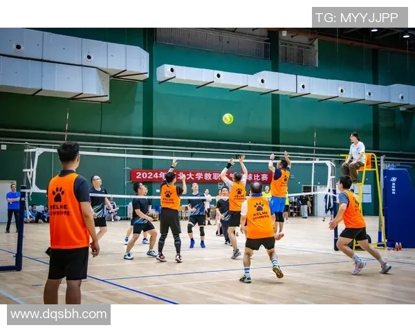 重庆排球队实力强劲荣登全国排球实力排行榜第五名展现出色竞技水平