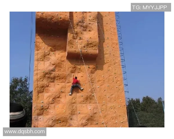 南京攀岩队快攻策略分析与成败经验分享